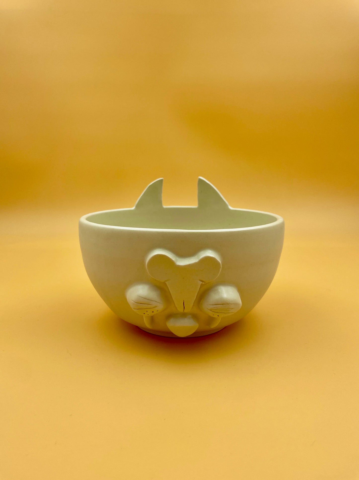 Cat bowl