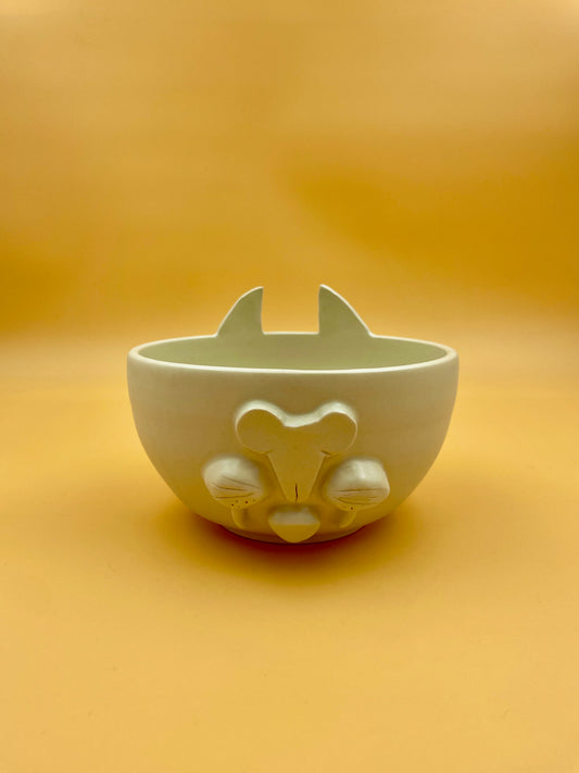 Cat bowl